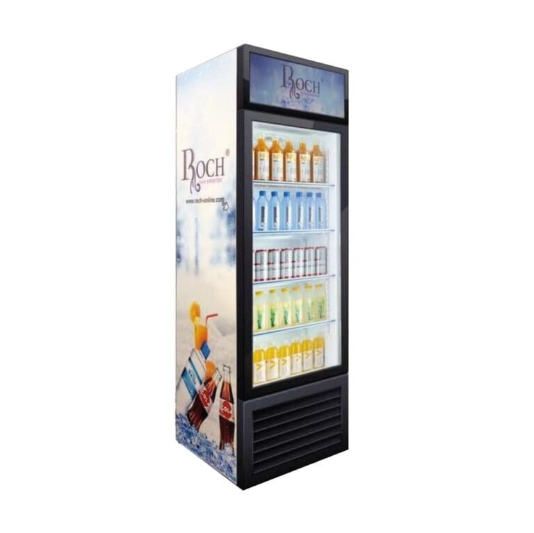 REFRIGERATEUR ROCH VERTICAL VITRINE RSF-260-O – Image 2