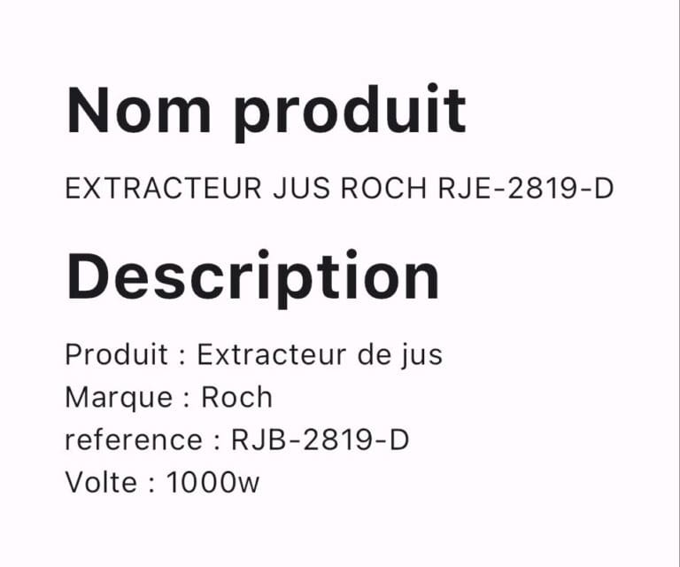 EXTRACTEUR JUS ROCH RJE-2819-D – Image 2