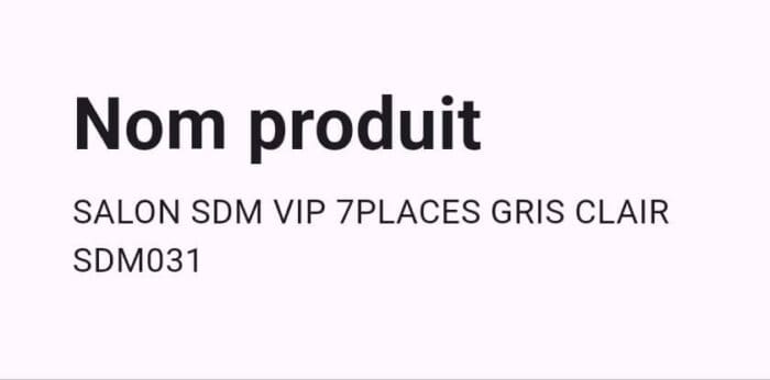 Salon SDM VIP 7Places Gris Clair SDM031 – Image 5